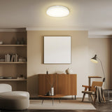 Oval LED Ceiling Light 3CCT Select IP65