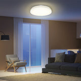 Oval LED Ceiling Light 3CCT Select IP65